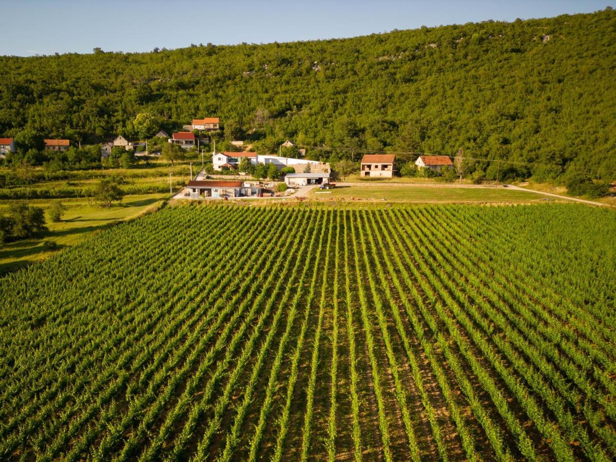 Villa Krolo Villa&wine Trilj